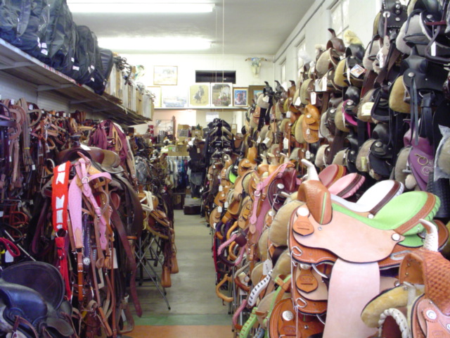 Sue's Saddles